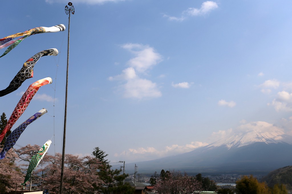 鯉のぼりと富士山