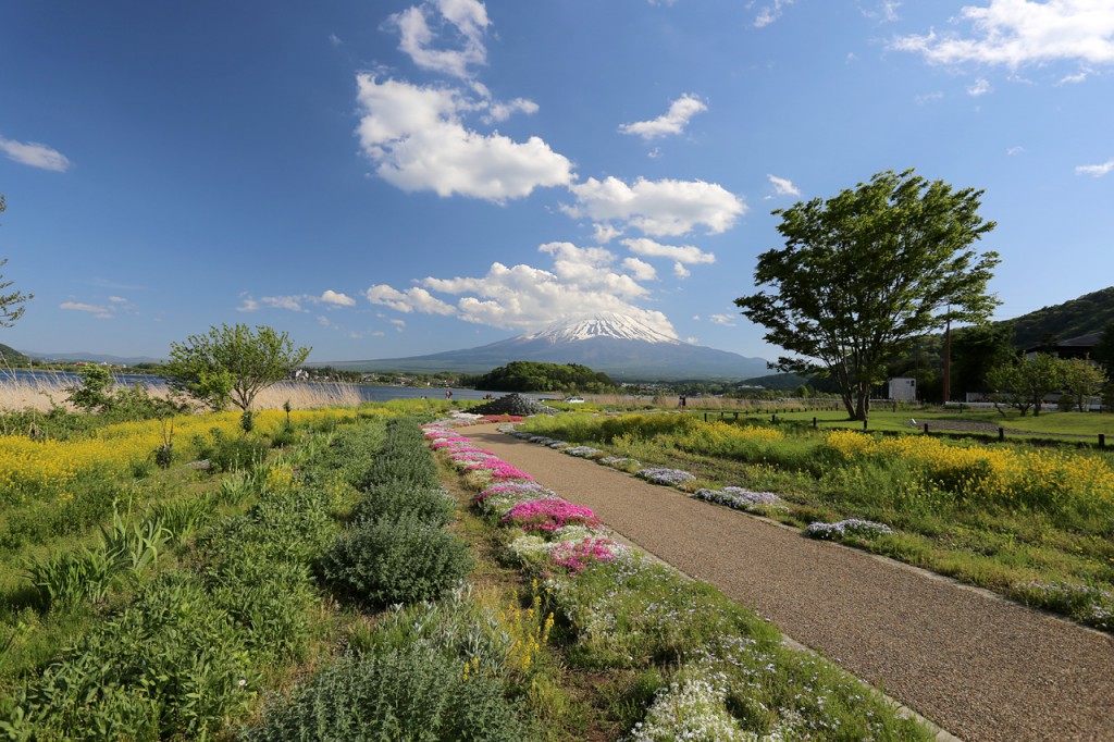 花街道と富士山