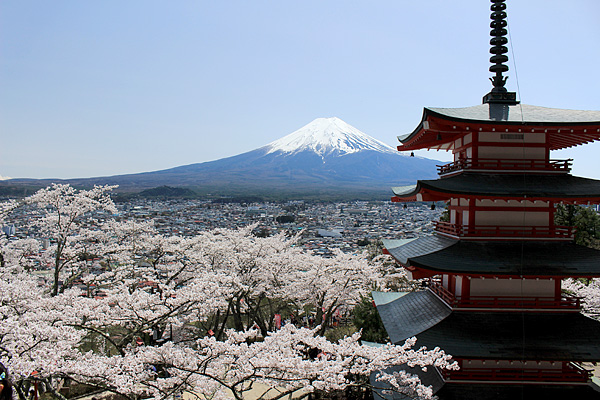 忠霊塔の桜と富士山