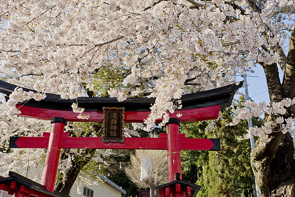 浅間日月神社