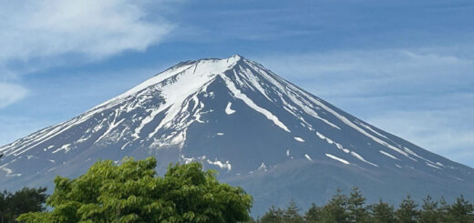 富士山農鳥